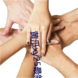 黄瓜xy25最新版本