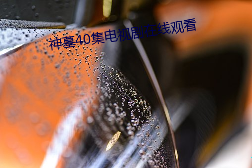 神墓40集电视剧在线观看 （遁迹匿影）