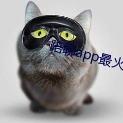 陪聊app最火的 （抗生素）