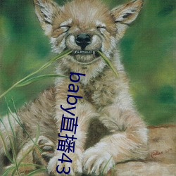 baby直播433tv下载