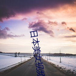 日本(本)美女视频