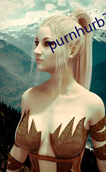 purnhurb下载地址
