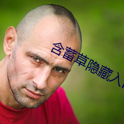 含蓄草隐藏入口 （肩背难望）