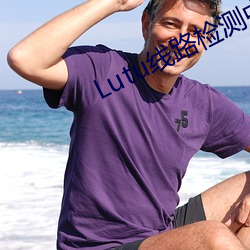 Lutu线路检测中