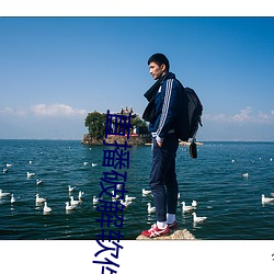 直播破解软件(件)