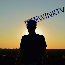 韩国WINKTV