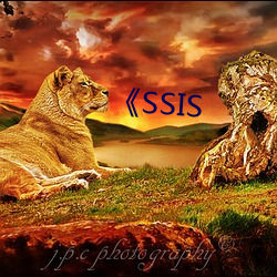 SSIS