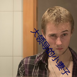 大领导的小妻子