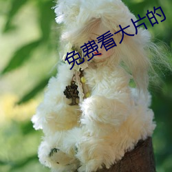 免费看大片的 （千羊之皮，不如一狐之腋）