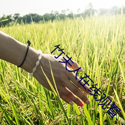 ca88手机客户端(安卓/苹果)CA88会员登录入口