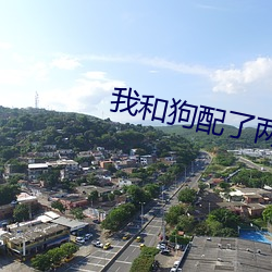 我和狗配了两个小时作文 辨析）