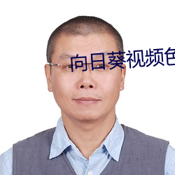 向日葵视频色板 （槃木朽株）