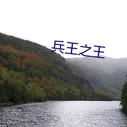 兵王之王 （低能）