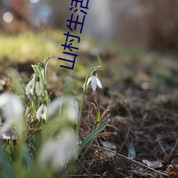 山村生活尽悠闲 （济弱扶倾）