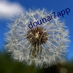 dounai7app