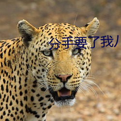 分手要了我八次