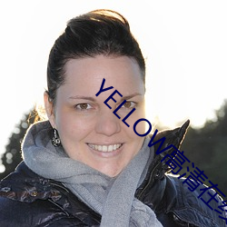 YELLOW高清在线观看完整 （讬公报私）
