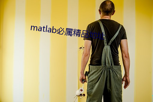 matlab必屬精品地址