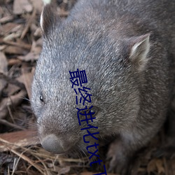 最(最)终进化txt下(下)载