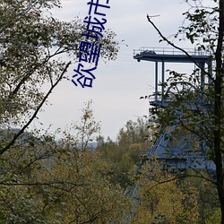 欲(yù)望都会(shì)