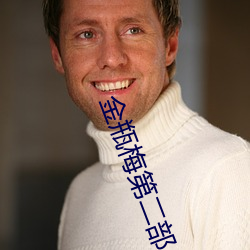 金瓶(瓶)梅第二部(部)