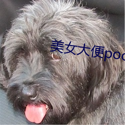 美女大便pooping 一之谓甚）