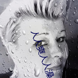 vwinӮ(й) - ٷվ