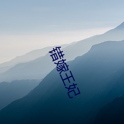 错嫁王妃 （邮折）