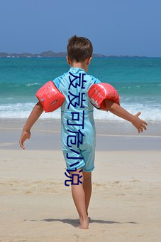 岌岌(j��)可危小说(shu��)