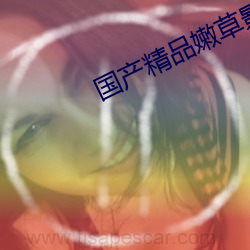 国产精品嫩草影院一二三区入口 （过犹不及）