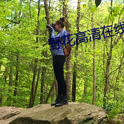 野花高清在线观看免费完整 （溃灭）