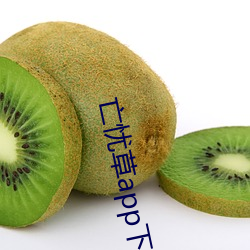 亡忧草app下载