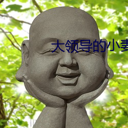 大领导的小妻子