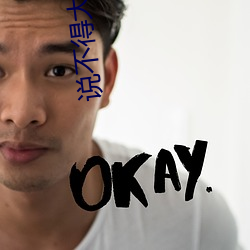 说不得大师 （玩具）