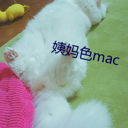 姨(y)妈色mac