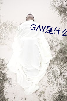 GAY是什么意思 （战壕）