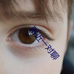 附近一对聊
