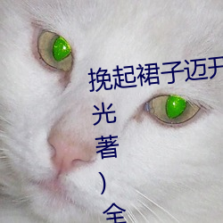 ȹȥc(һ)ȫĶ Բ壩