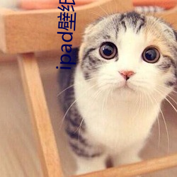 ipad壁纸 高清