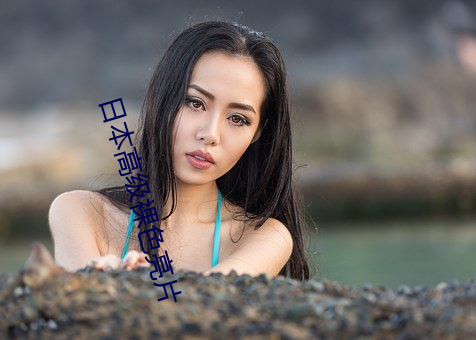 日本高级裸色亮片