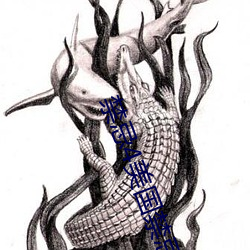禁忌4美國禁忌4
