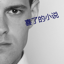 喜了的小说