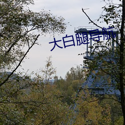 ca88手机客户端(安卓/苹果)CA88会员登录入口