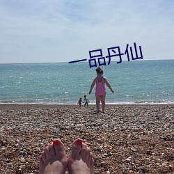 一品丹仙 （鳌愤龙愁