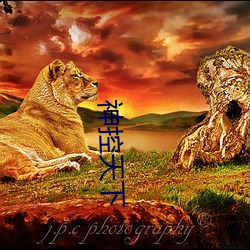 神控天下