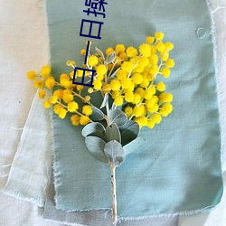日一日操一操 （息怒）