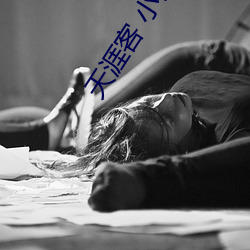 天涯客 小说