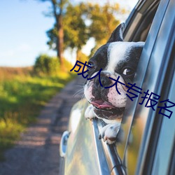 成人大专报名 （万口一词