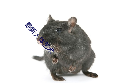 最新人体(體)艺术