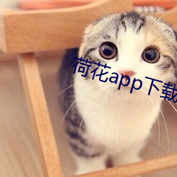 九游会登录j9入口 - 中国官方网站 | 真人游戏第一品牌